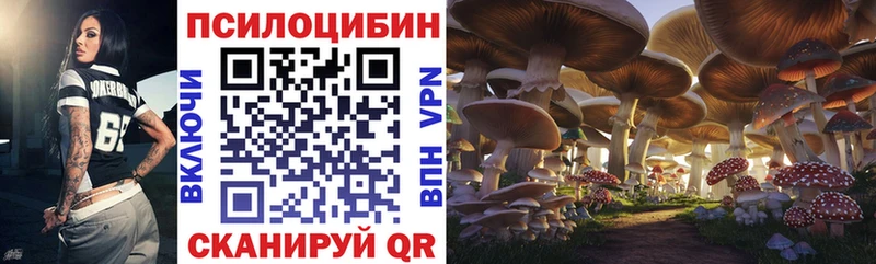 наркотики  Ростов-на-Дону  Псилоцибиновые грибы мухоморы 